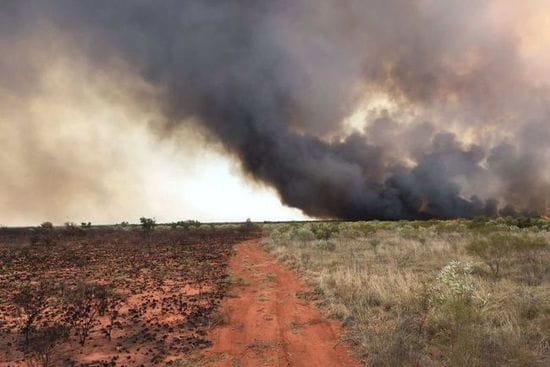 Worst fire season in a decade: Kimberley counts the cost of 300 bushfires
